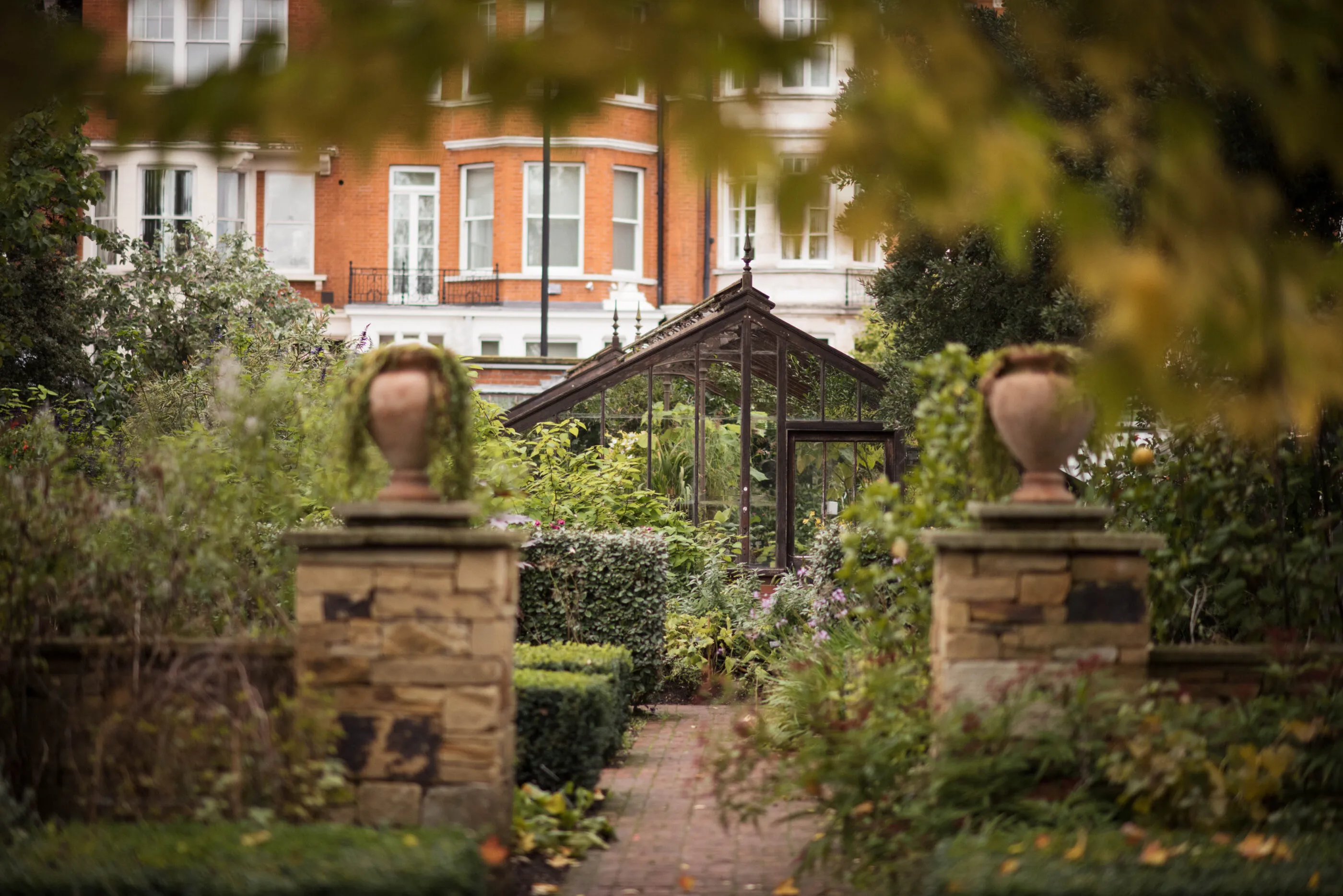 Chelsea Physic Garden during its free Open Weekend