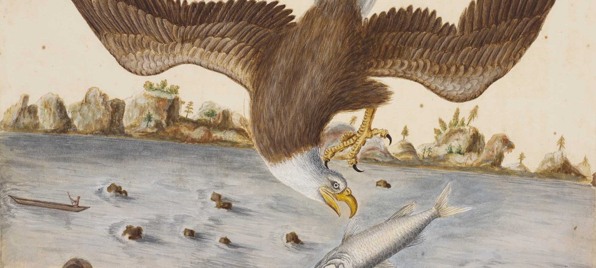 Becoming America: How Science Shaped a Nation
