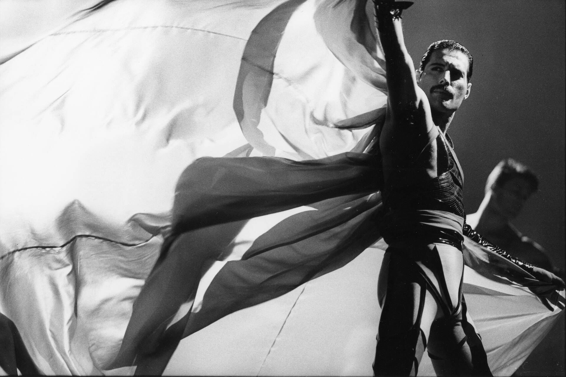 Freddie Mercury: Splendid Things