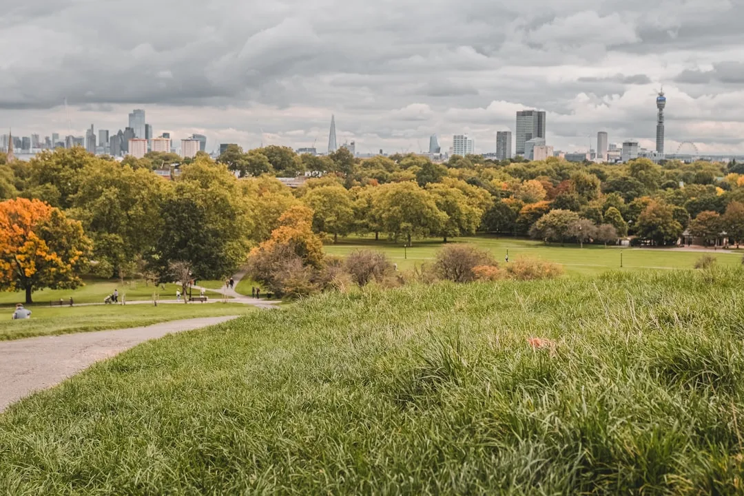 Photo of Primrose Hill, image 1 of 2
