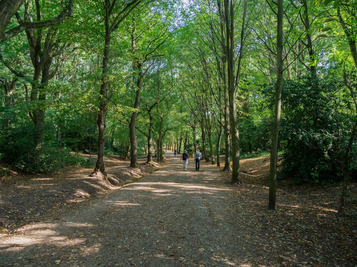 Photo of Hampstead Heath