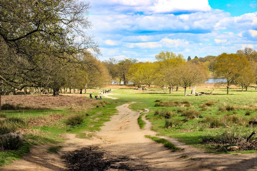 Photo of Richmond Park, image 1 of 3