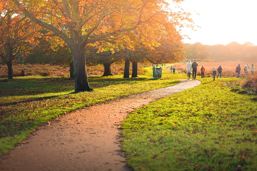 Photo of Richmond Park, image 3 of 3