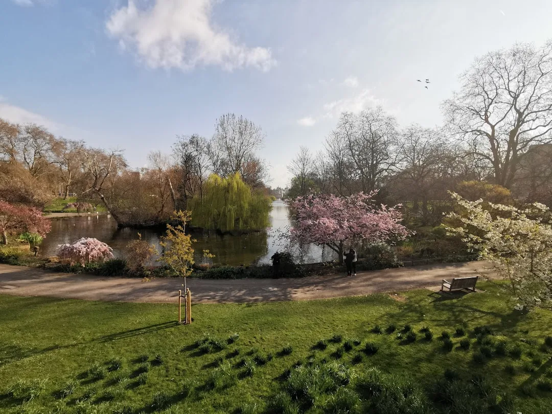 Photo of St James’s Park, image 2 of 3