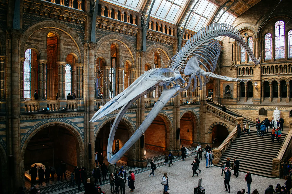Photo of Natural History Museum, image 1 of 3