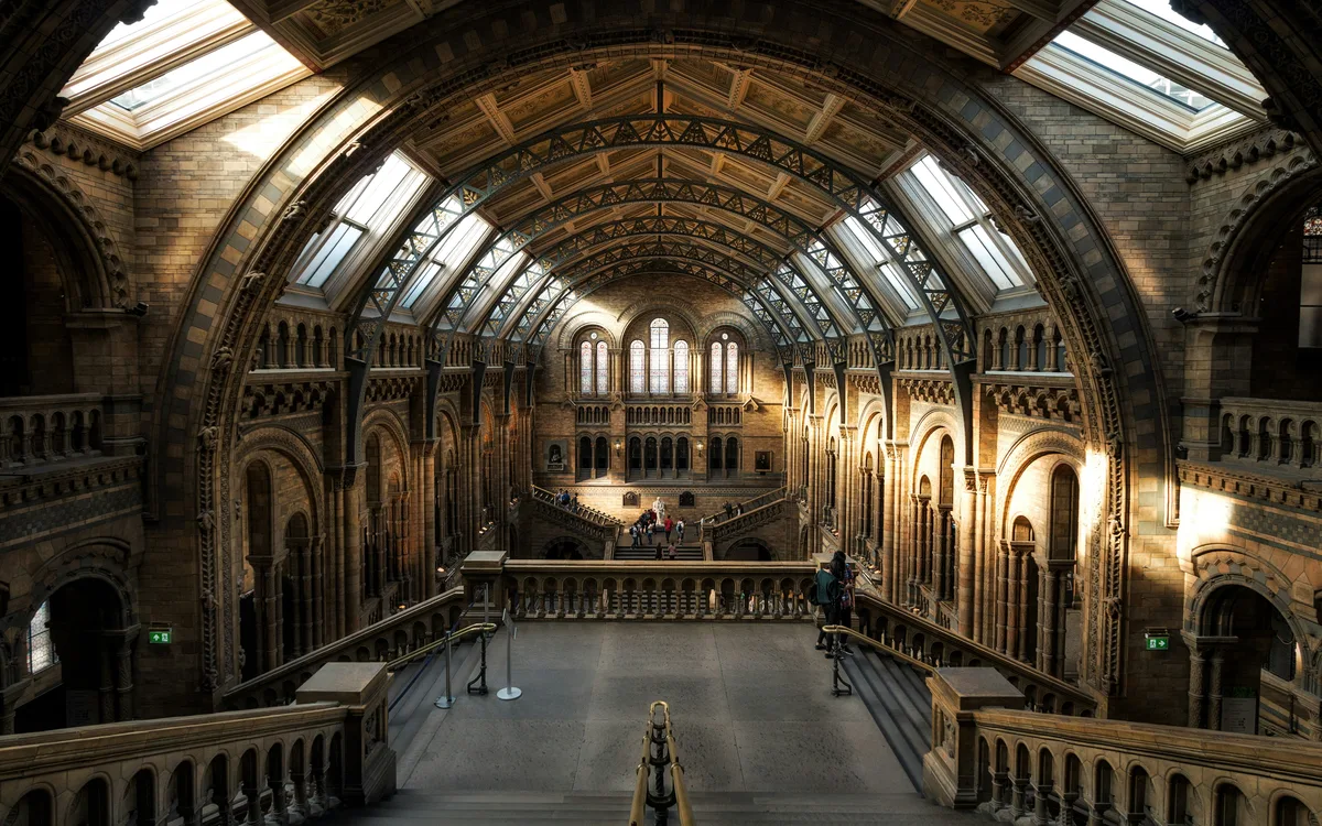 Photo of Natural History Museum, image 2 of 3