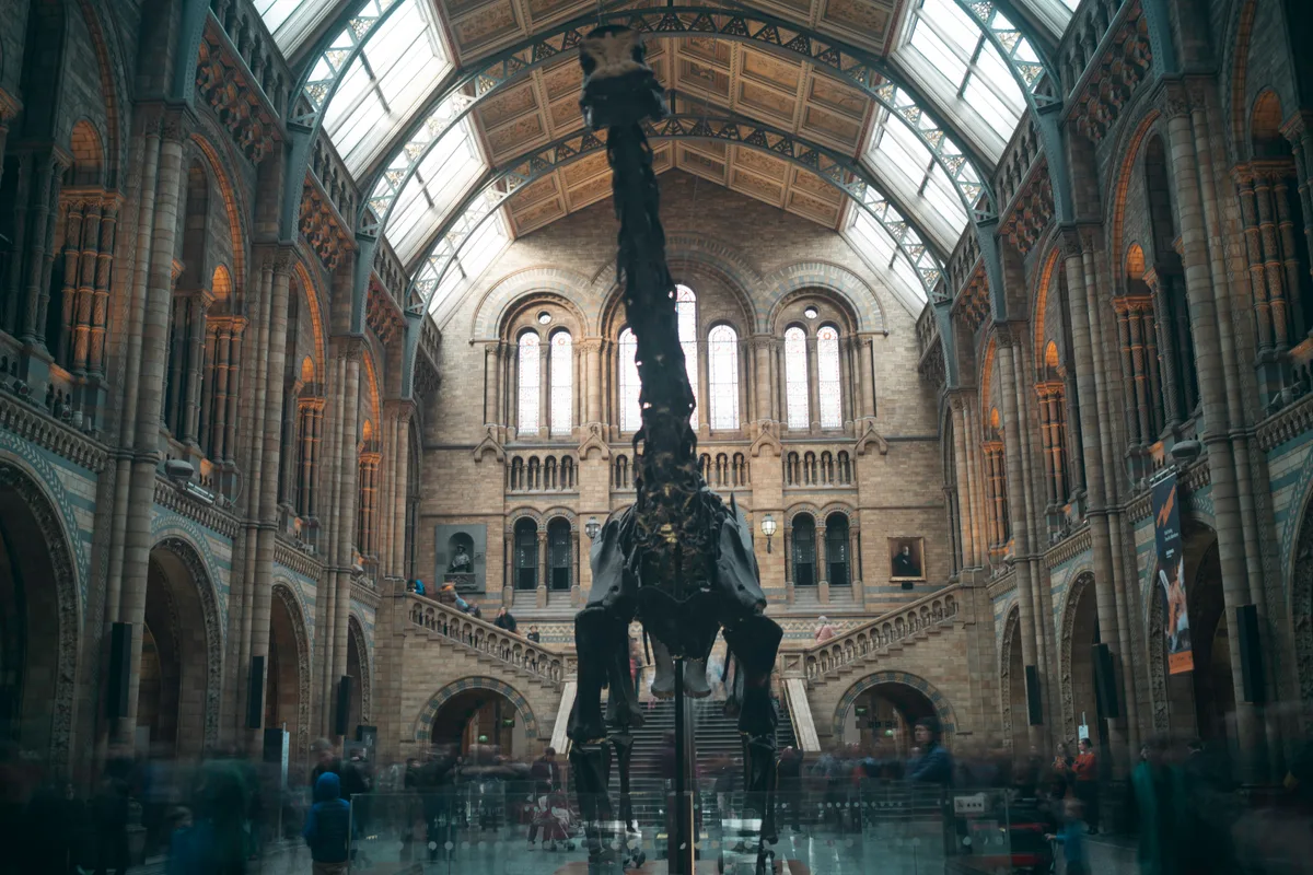 Photo of Natural History Museum, image 3 of 3