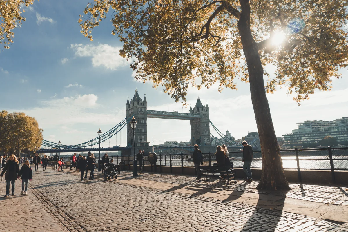 Photo of Thames Path Walk