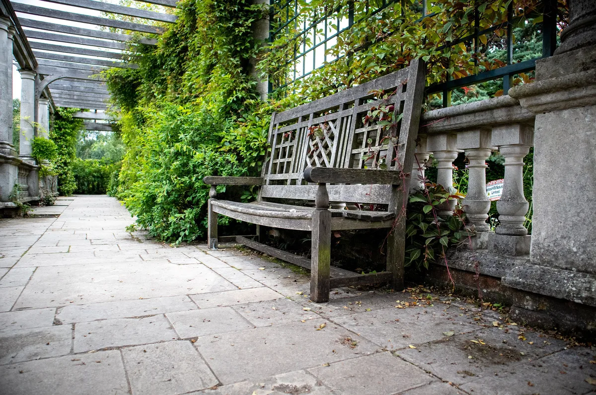 Photo of Hampstead Pergola & Hill Gardens, image 2 of 2